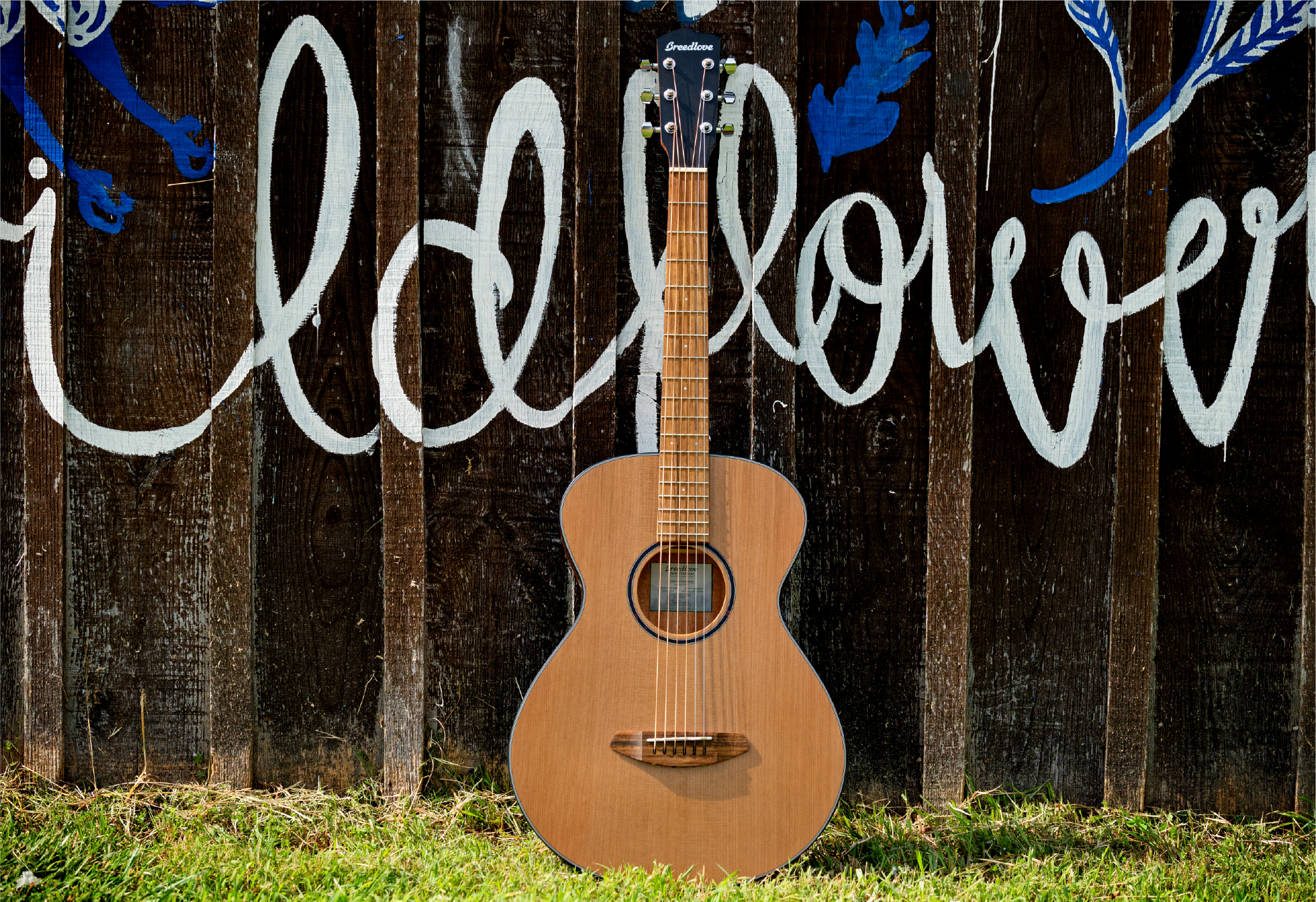 Breedlove guitars return to Oceania with Amber Technology